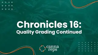 Cannabis Quality Grading Continued | Grading flower and concentrates | CHRONICLES 16