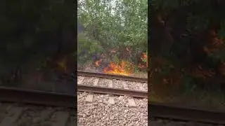 Incendiu langa calea ferata intre Gradinari si Vadu Lat