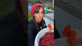 #дача