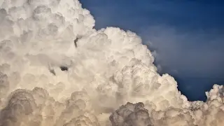 gg