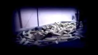 Andrei Golubenkov one week.mpg