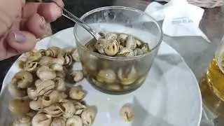 УЛИТКИ........