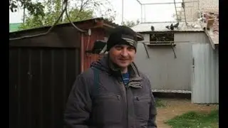 Николаевские голуби Сергея Родионова (Мои филиалы). Волгоград. Часть 96