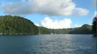 Diving in Palau