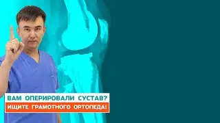На леченом коне далеко не уедешь