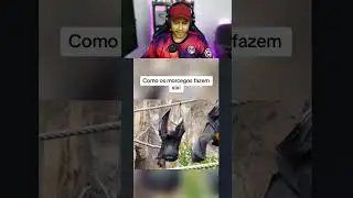 Conseguiram filmar o fim do Arco-íris