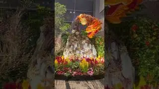 Changi airport #changiairport #airport #airplane #viral #amazing #trending #travel #awesome #top