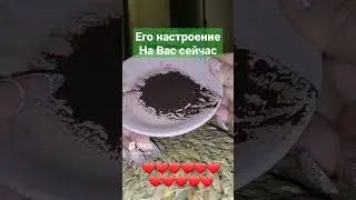 😆 ЕГО НАСТРОЕНИЕ В МОМЕНТЕ К ВАМ 