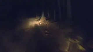 Nighttime Dirt Road Ride CRF300L - Raw Sound No Talking