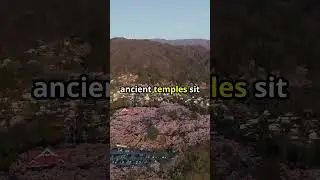 Unveiling Japan's Countryside Charm