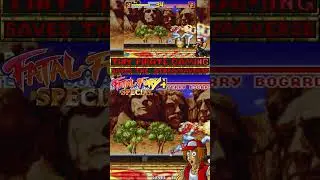 Terry Bogard in FATAL FURY SPECIAL 