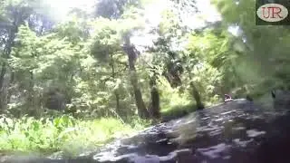 Guy Gets a Surprise While Jet Skiing Through The Everglades