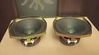 Technics 12P25A3 (12 см) СЧ динамики