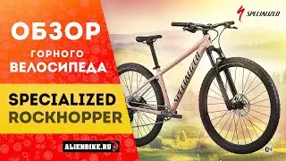 Горный велосипед Specialized Rockhopper Elite 29'' (2021)