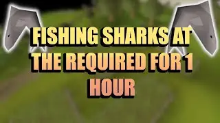 OSRS AFK FISHING MONEY MAKING METHOD 2020