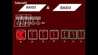 RAID2 and RAID3
