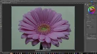 Selections and effects in Photoshop