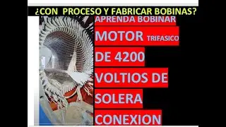 como bobinamos el estator de motor de platina  o barras completo de4200 voltios  media tension