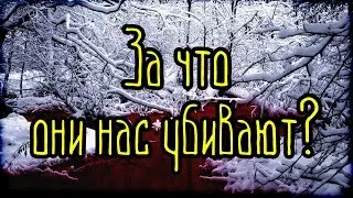 За что они нас убивают? (Страшная История) [СМОТРЕТЬ ВСЕМ!!!]