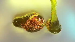 Honey and bubbles simulation