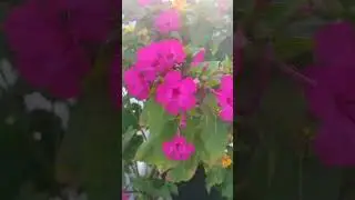 Прекрасное во всем #турция