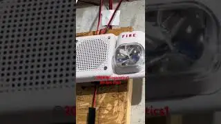 Silent Knight Voice Evac on SpectrAlert Classic Speaker Strobe 