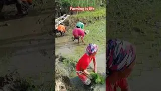 Farming is life 