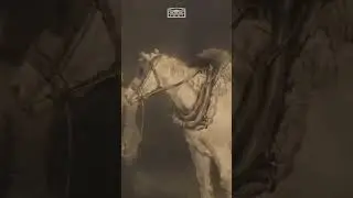 Становление музейного собрания Ирбитского ГМИИ #shorts #выставка #shortvideo