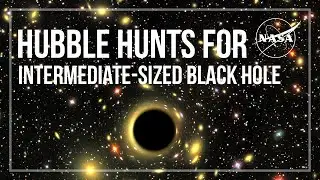 Hubble Hunts for Intermediate-Sized Black Hole Close to Home