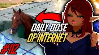 HORSIN' AROUND!! EH?? | Daily Dose of Internet Reaction