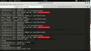 5.2 Special Permission in Linux : Set UID, GID and Sticky bit