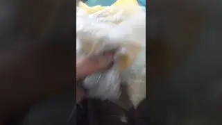 обед стошника чееееееек 😁💪 
