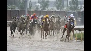 Justify will be at the Preakness, but he’ll have a mostly new set of challengers