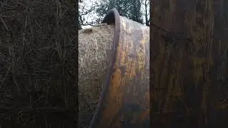 #farming #farm #silage