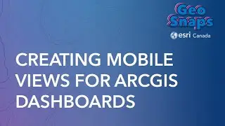Creating Mobile Views for ArcGIS Dashboards