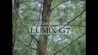 Panasonic Lumix G7 -Cinematic Video (4K)
