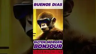 Good Morning Monkey