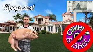 Свиньи Как Бизнес ПРОДАЛИСЬ! #РейдОтСвиньи2009