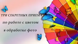ТРИ СЕКРЕТНЫХ ПРИЕМА по работе с цветом в обработке фото