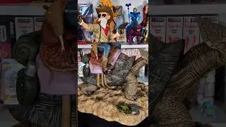 MM Studio - Cowboy Muten Roshi Resin Statue #dragonballz #unboxing #songoku #manga #anime