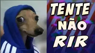 TENTE NÃO RIR - Animais muito engraçado - SE VOCÊ RIR, VAI TER QUE REINICIAR O VÍDEO
