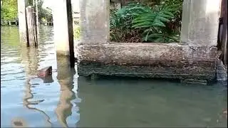 Damnoen Saduak Bangkok