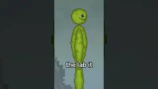 The Strangest Cursed Melon Playground Mods