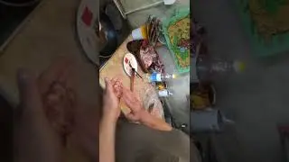 Котлеты от шеф-повара