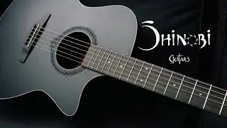 Хорошая гитара за недорого Shinobi H-12/BK
