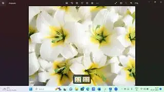 Adding Gaussian Noise using OpenCV python | Image processing Basics | 