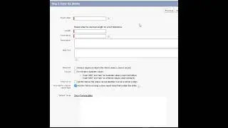 What options can be set while creating a custom field?