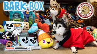 Unboxing the October 2020 BarkBox - Lick or Treat! (Double Deluxe Box)