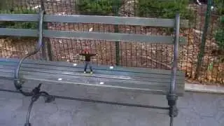 lil gus.mp4
