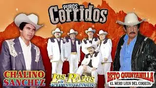 Las 30 Sus Mejores Éxitos Canciones de Beto Quintanilla - Chalino SAnchez vs Los Razos